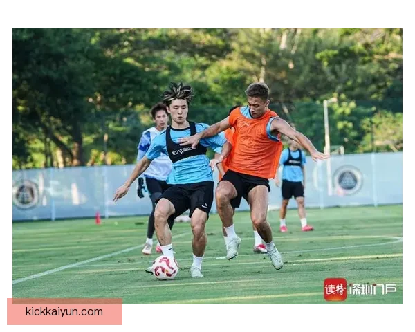 球迷活动日历：2024赛季观赛指南与互动安排